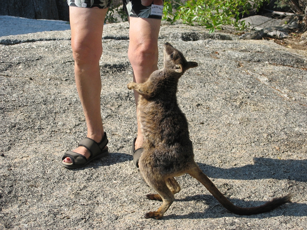 075 Granite Gorge.jpg